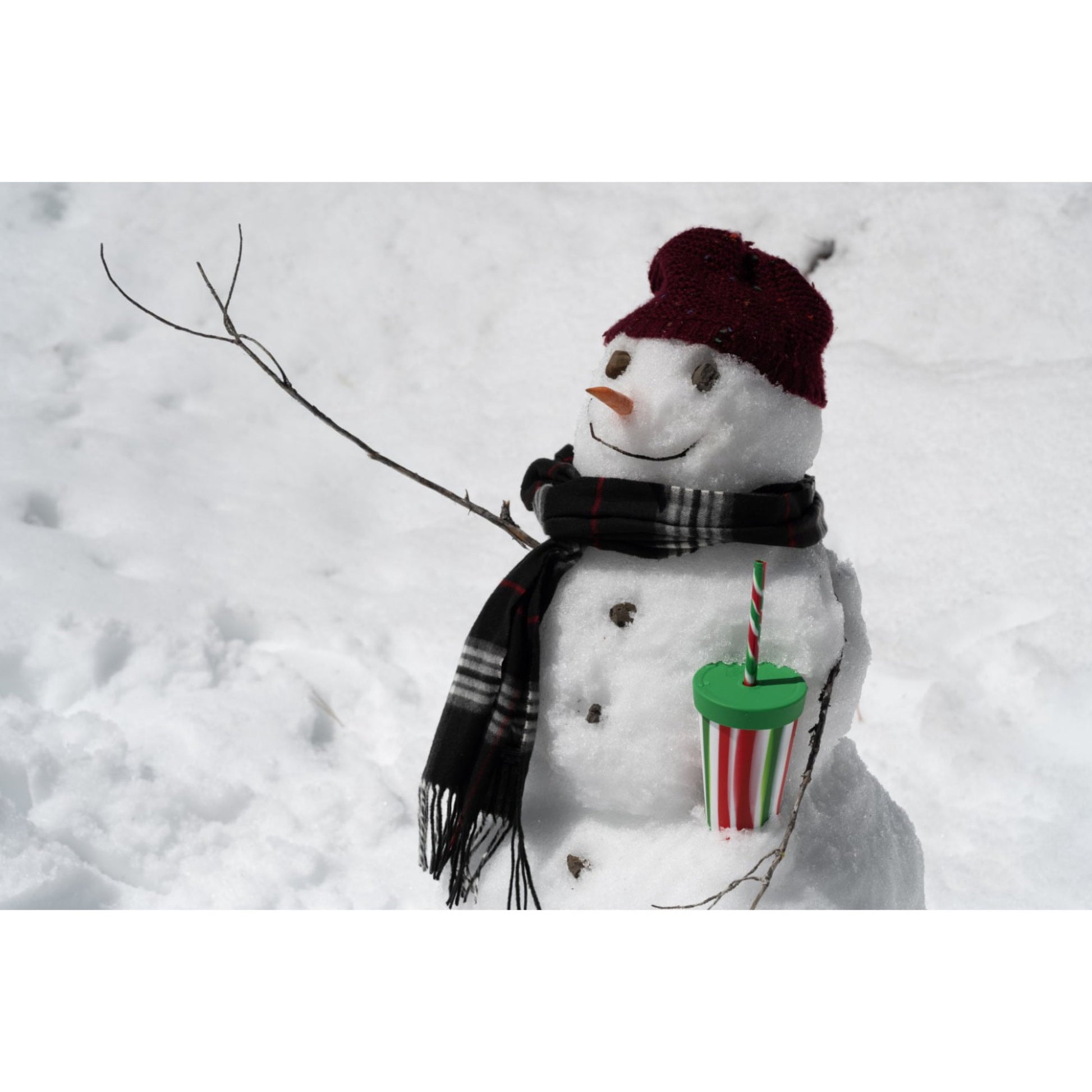 Silipint: Silicone 16 oz Straw Tumbler: Peppermint & Poinsettia