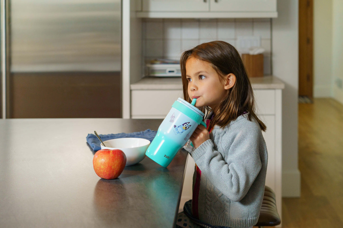 (2 pack) Zak Designs Bluey Kids Insulated Tumbler with Straw, 18oz Stainless Steel Leak-Proof Cup with Handle